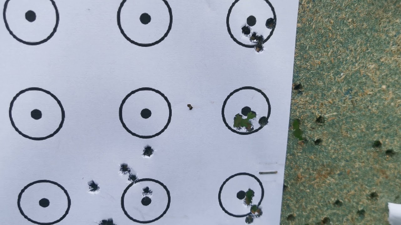 anschutz 1761 22 LR 50 and 100 meters with SK long range match and SK flatnose match comparison