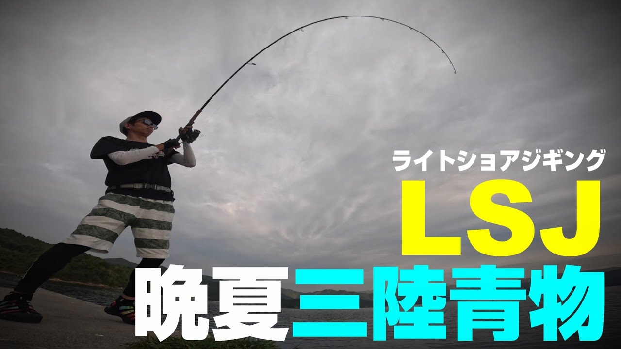 【LSJ】初心者必見！メタルジグ王道アクション「ワンピッチジャーク」で釣れるようになる！堤防を回遊する青物を釣る！