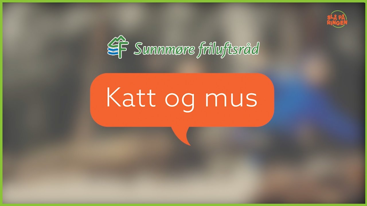 Katt og mus
