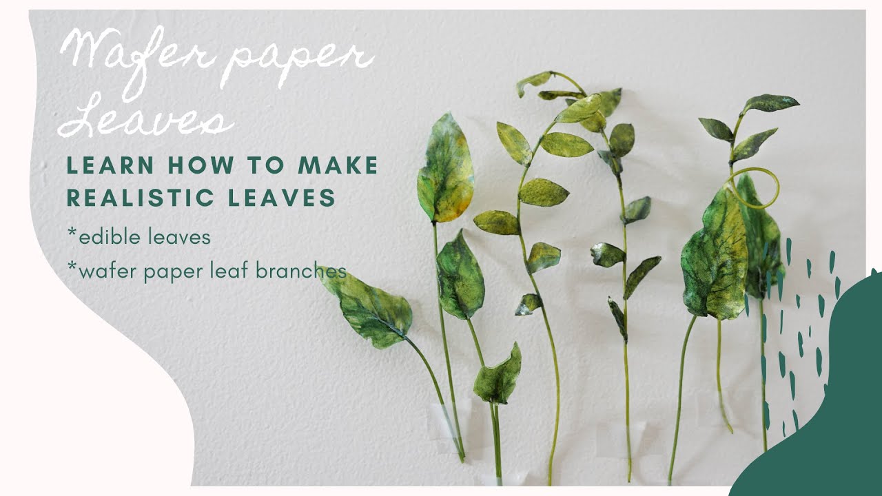 Wafer paper leaf tutorial 🌿for cake decorating, Learn how to make two different wafer paper leaves