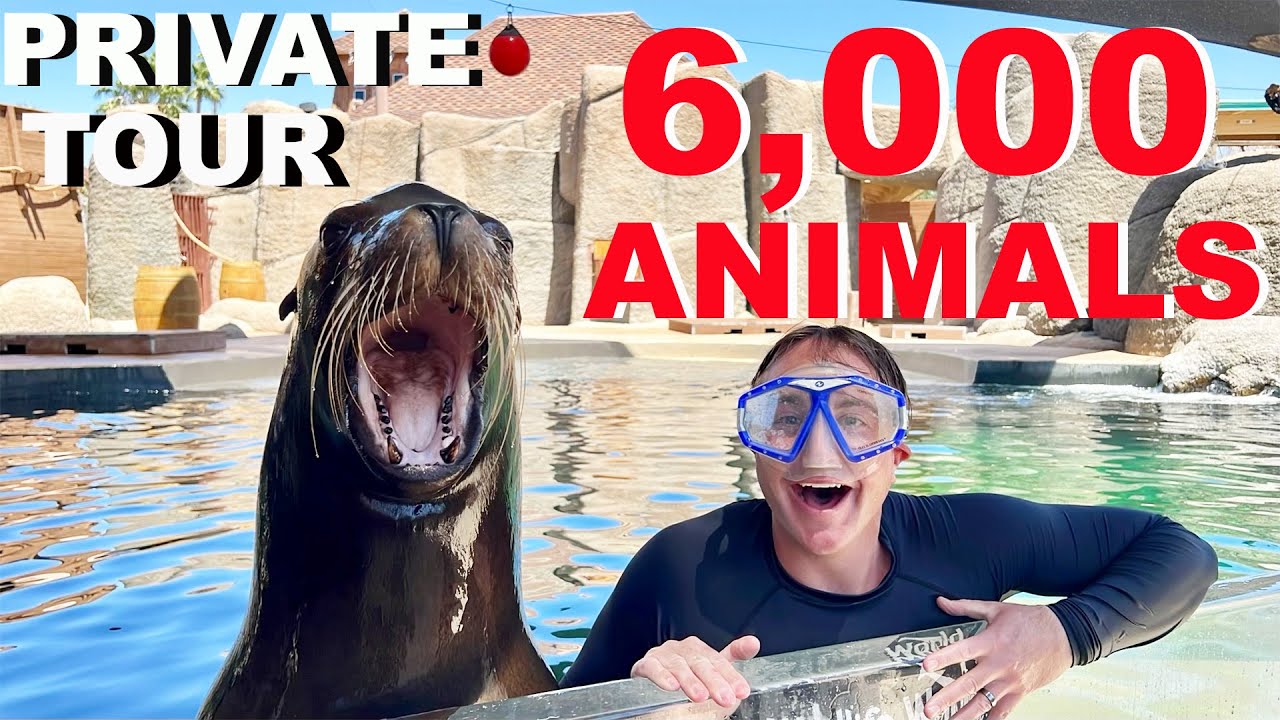 Private Tour Of Arizona's *LARGEST* Zoo!
