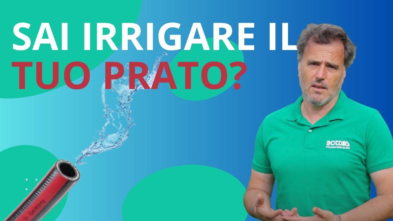 Quando e quanto IRRIGARE il PRATO
