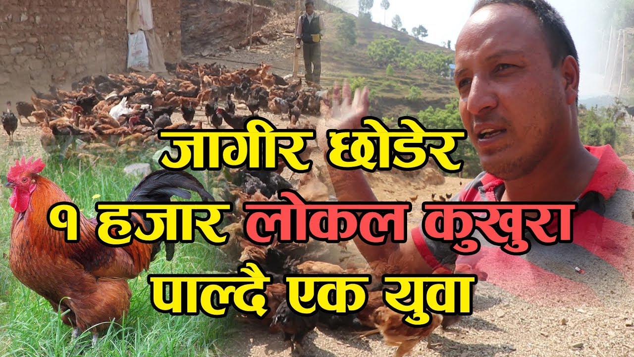 जनतासंग जनप्रतिनिधी || Episode 16 ll लोकल कुखुरा पालेका युवा संगको कुराकानी