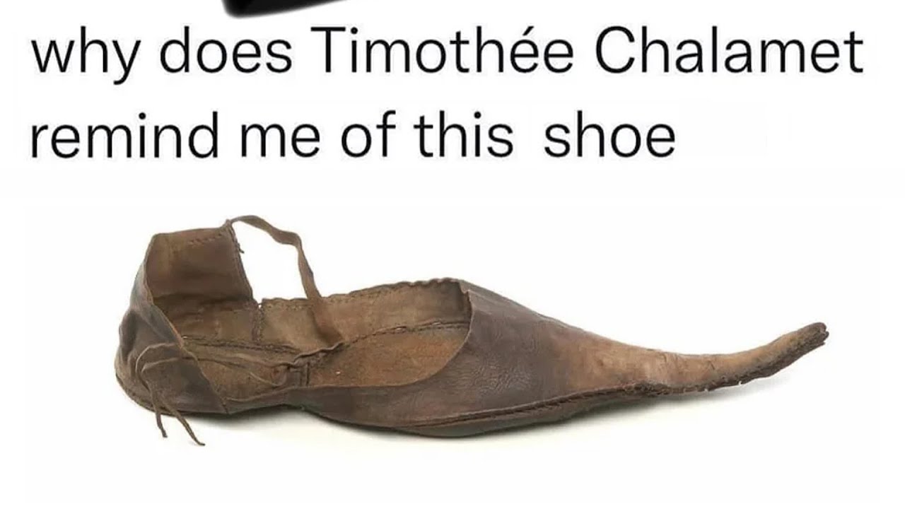 r/Rareinsults | Timothée Shoe-lamet