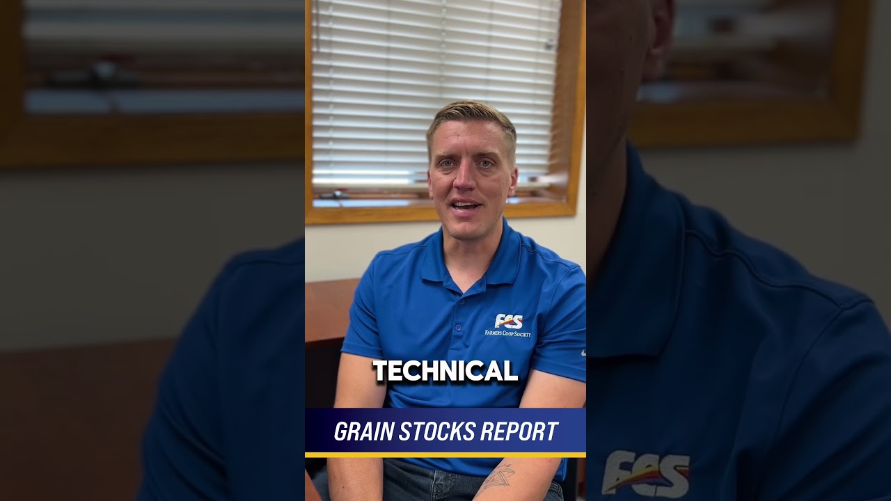 July 8, 2024: Crop Progress Report with Joe Hofmeyer