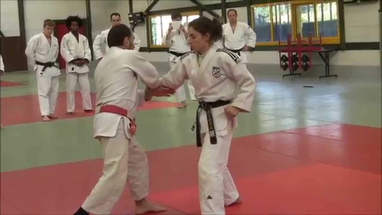 LES 12 ATTAQUES JUJITSU
