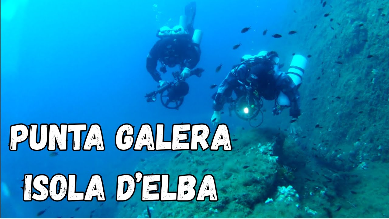 Immersione alla secca di Punta Galera, Isola D'Elba