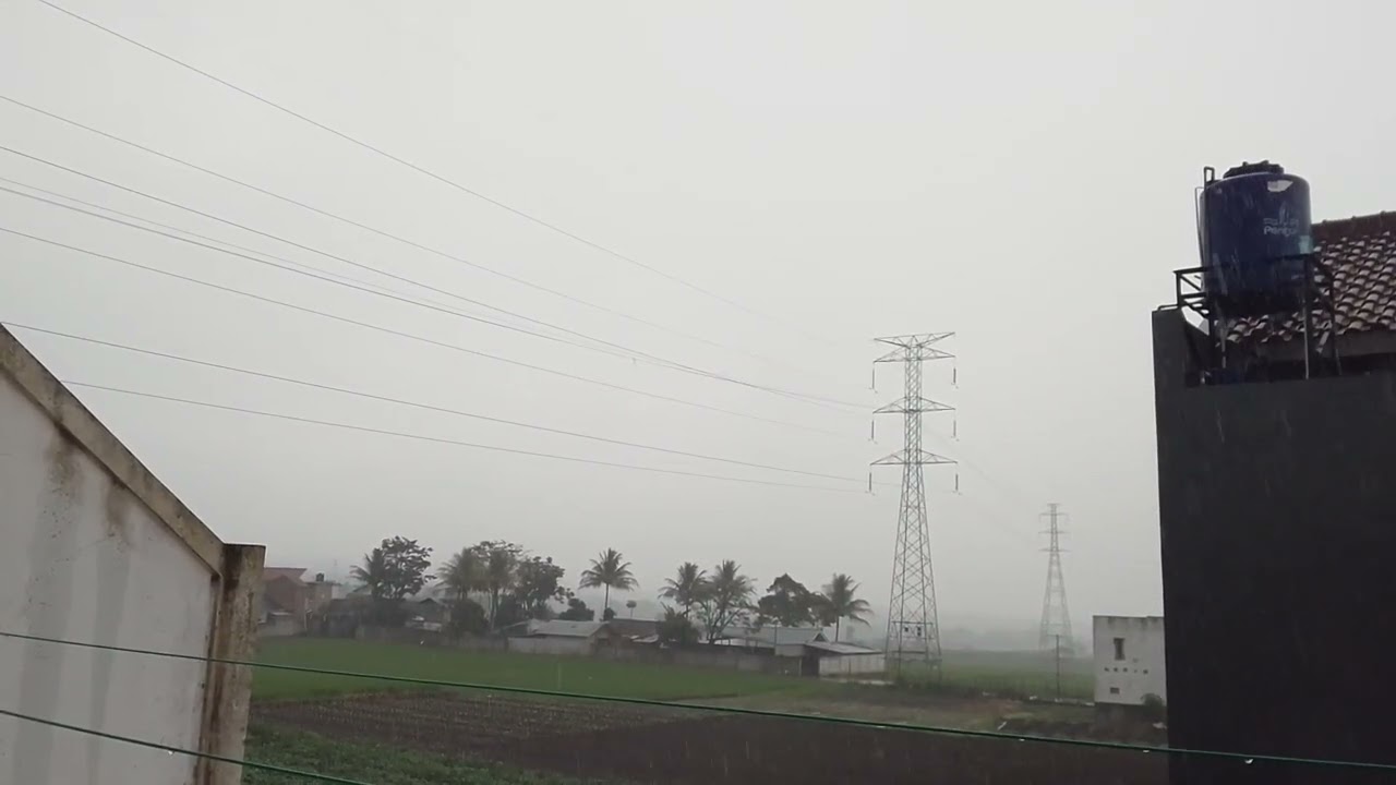 The patter of rain...#rainyday #rain #aesthetic #rainsounds #relaxing #viral #viralshorts #asmr 