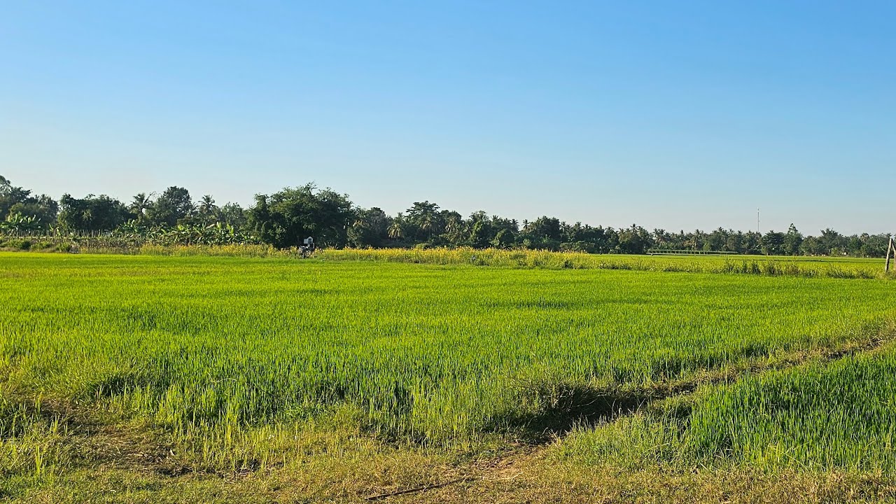 Going back to Battambang after Nuth's wedding. 