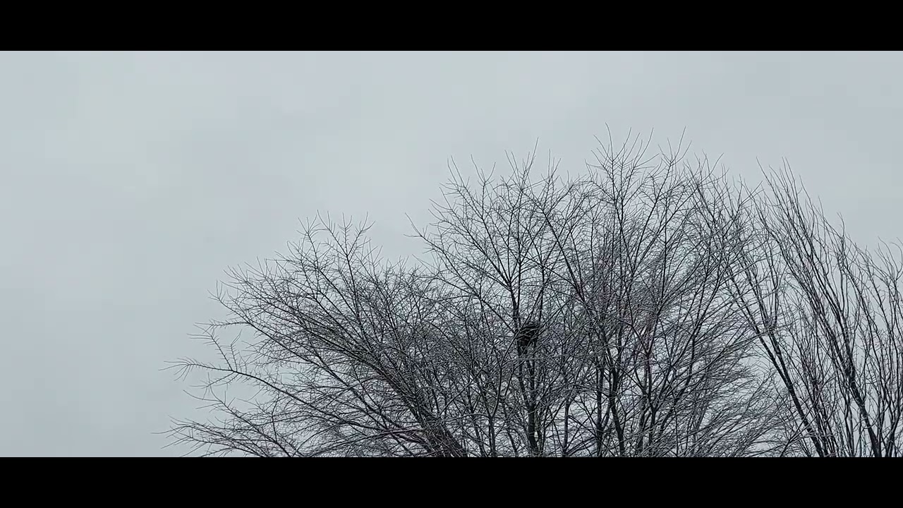 hiver.traces