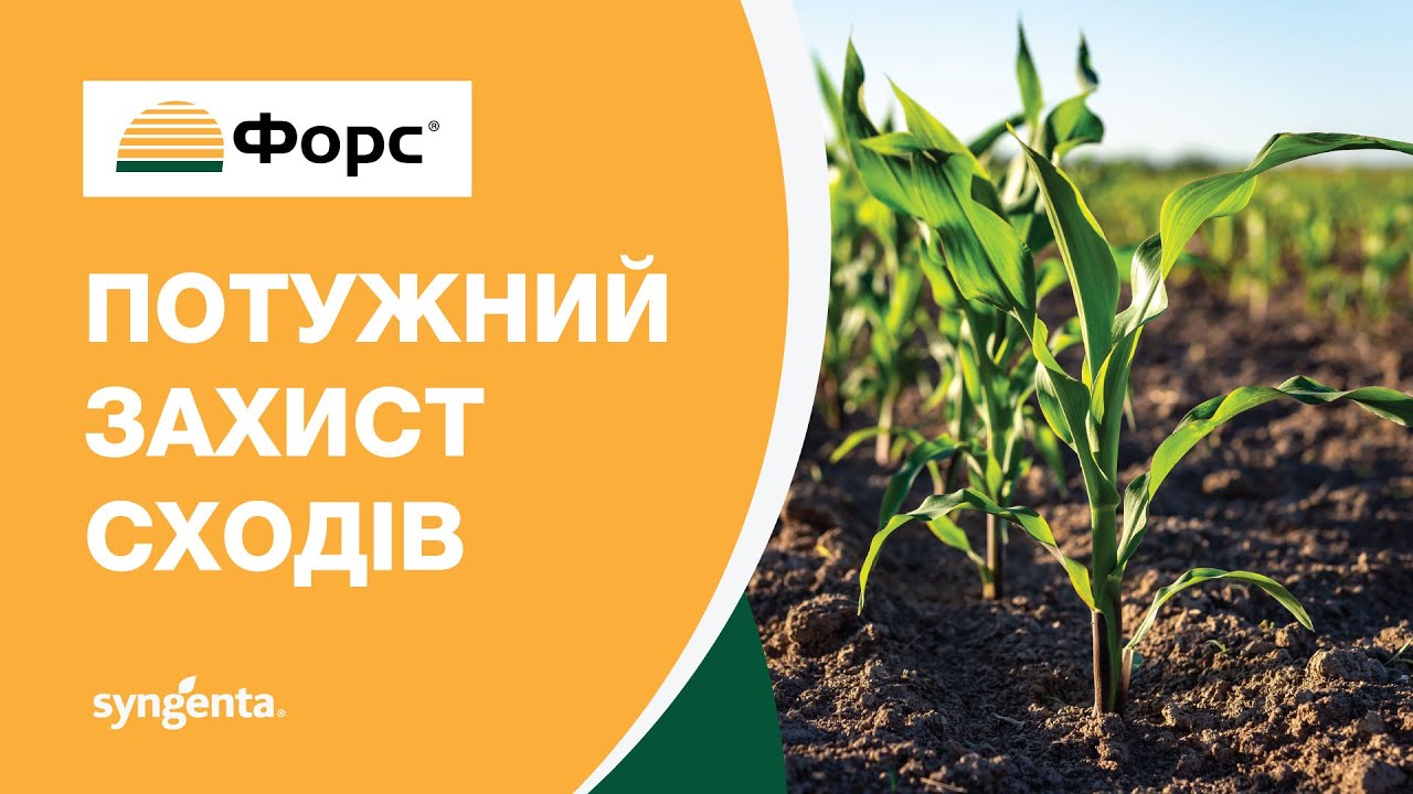 Інсектицид Форс®