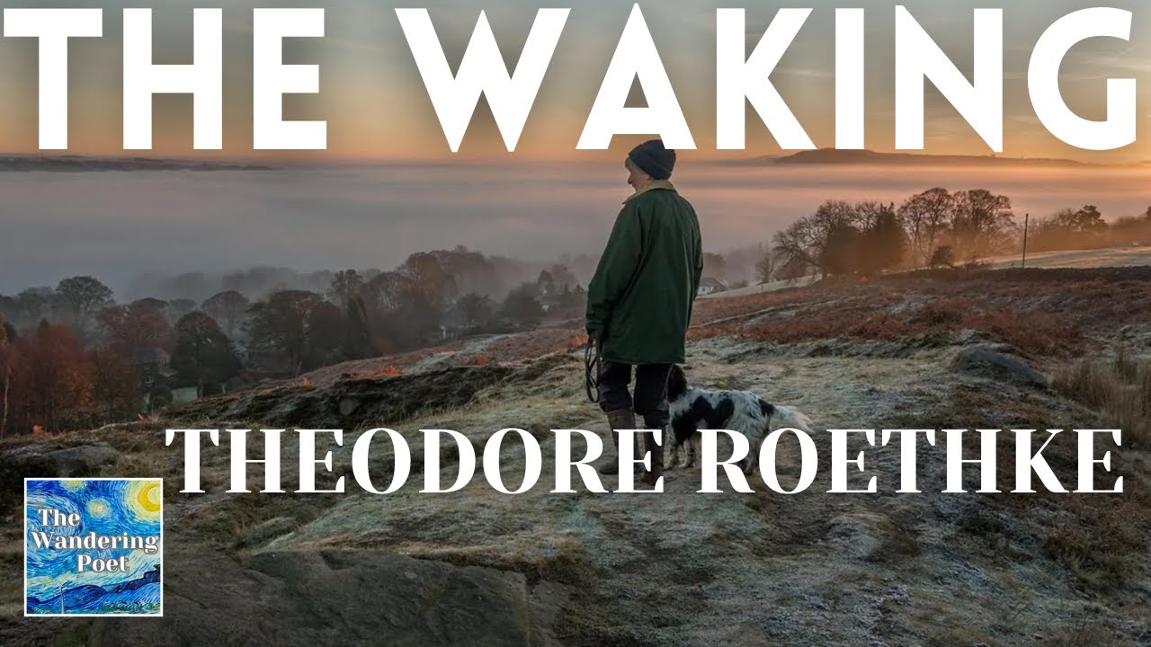 THE WAKING - poem by Theodore Roethke (powerful life poetry) | Wandering Poet Cafe