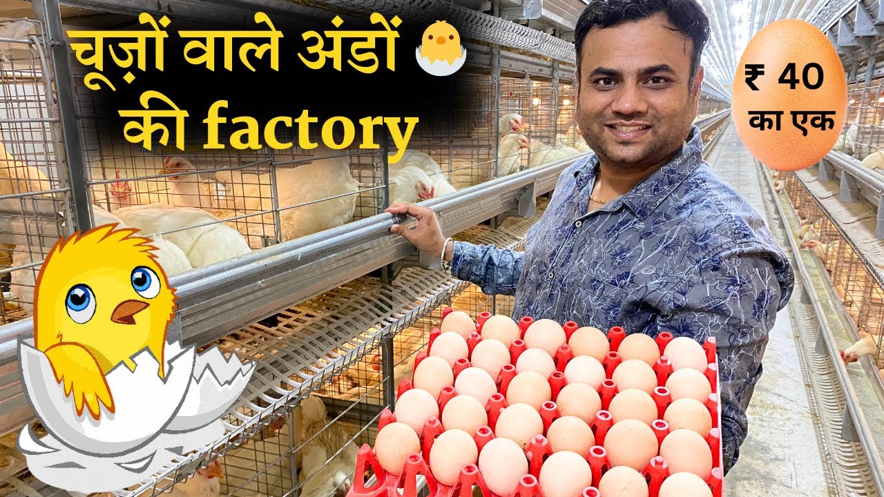 9000 ब्रॉईलर ब्रीडर और महीने का 1 करोड़ रुपए   !! Fully automatic poultry farm By Gartech