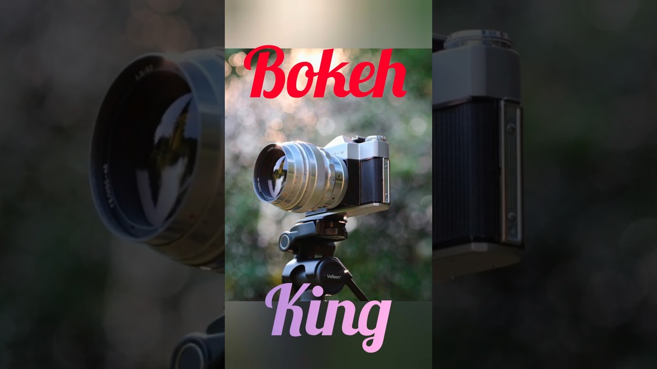 Helios 40 review and sample photos of best bokeh lens #photography #bokeh #camera #lens #sony #foto