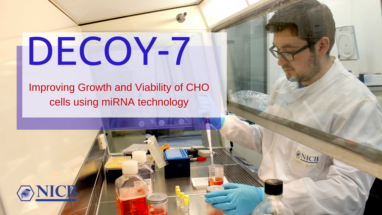 DECOY-7: Improving growth and viability of production CHO cell lines