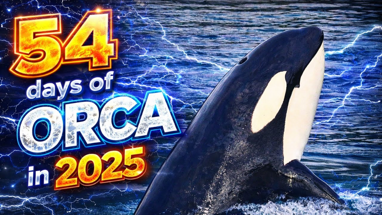 Every ORCA Encounter of 2025! - 54 DAYS!