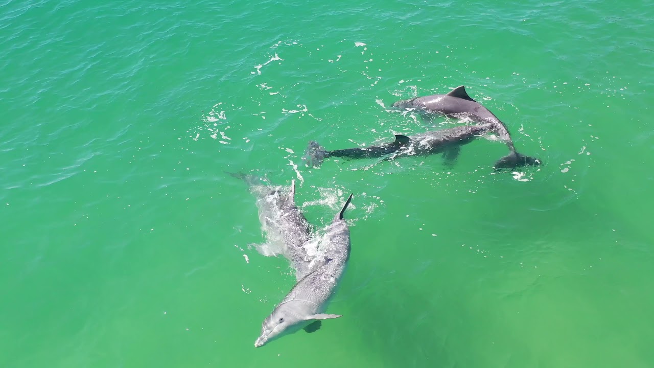 Floripa 4K e drone imagens lindas da Ilha da Magia
