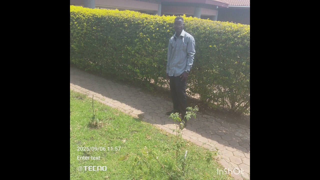 Bale zulu song tenda amai nababa