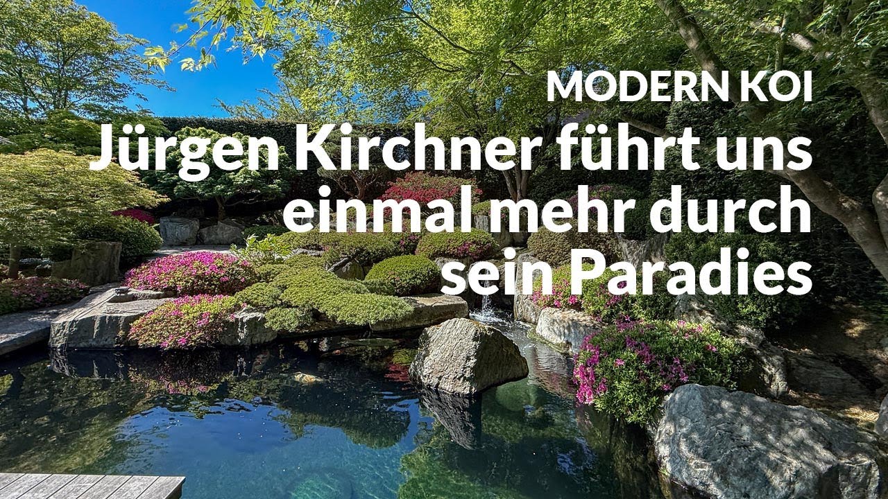 Jürgen Kirchners Traumgarten in seiner Frühjahrsschönheit | Modern Koi Blog #7473