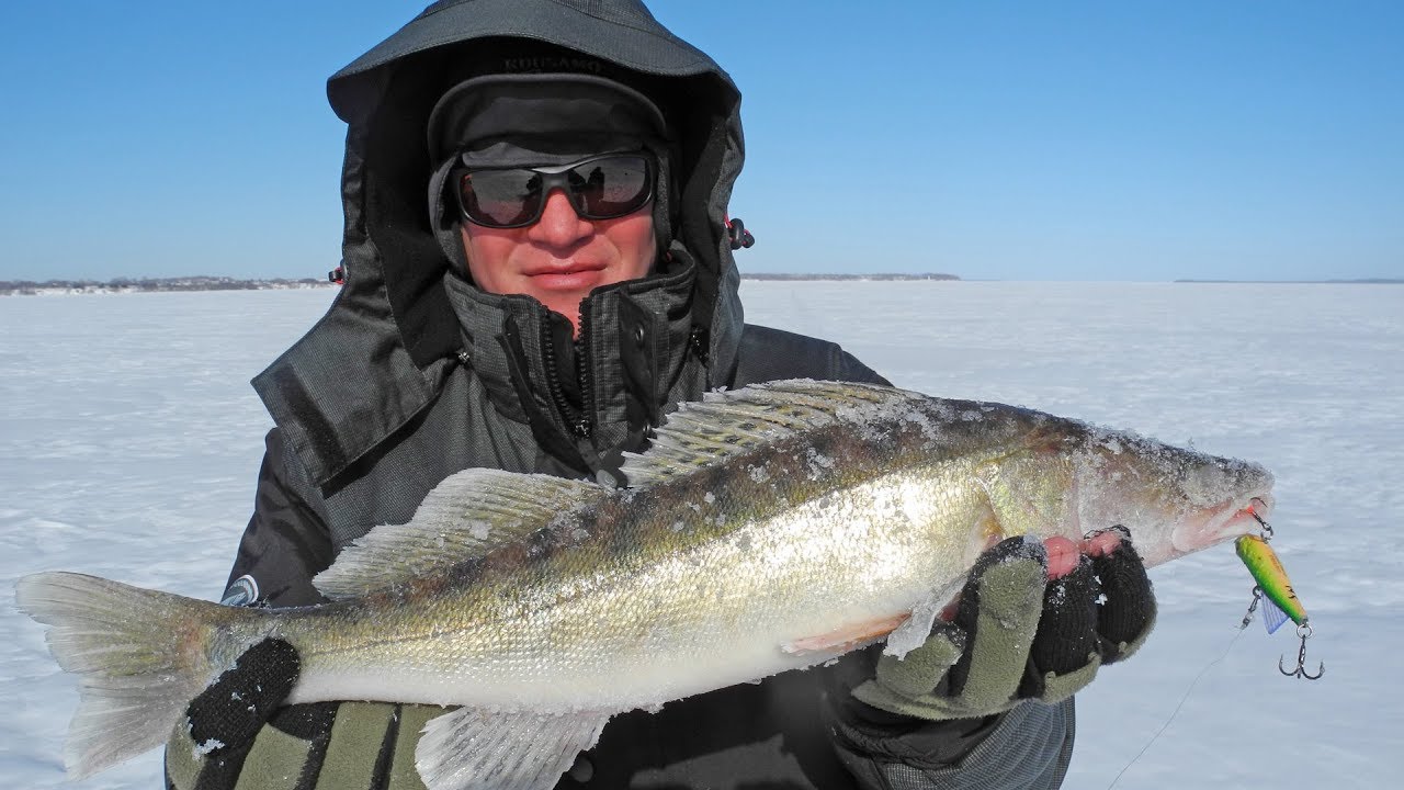 В поисках мартовского судака. Горьковское море