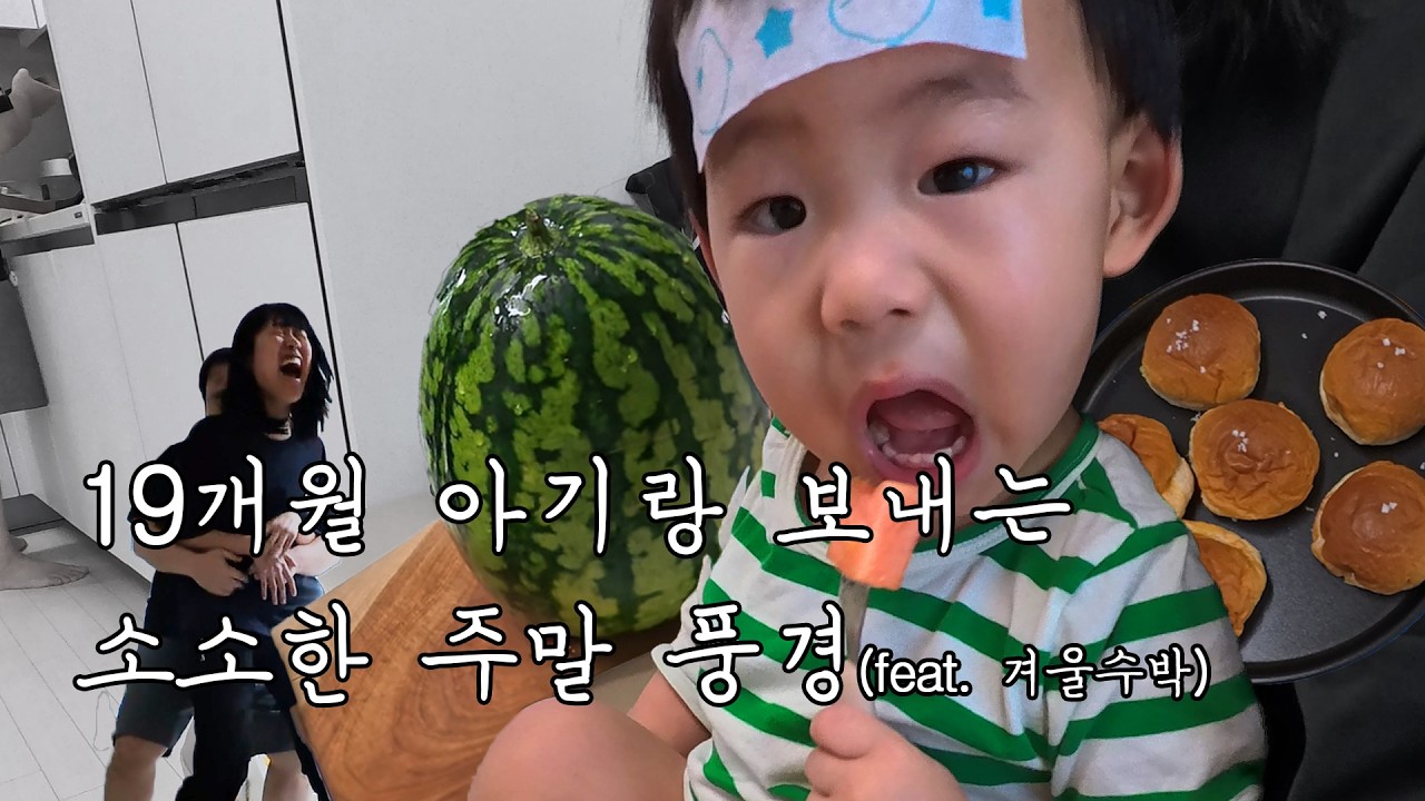 겨울 수박 맛은 어떨까? 19개월 아기 초간단 아침밥,  모닝빵으로 소금빵 만들기, 남편이 백드롭 시전, 부부싸움?