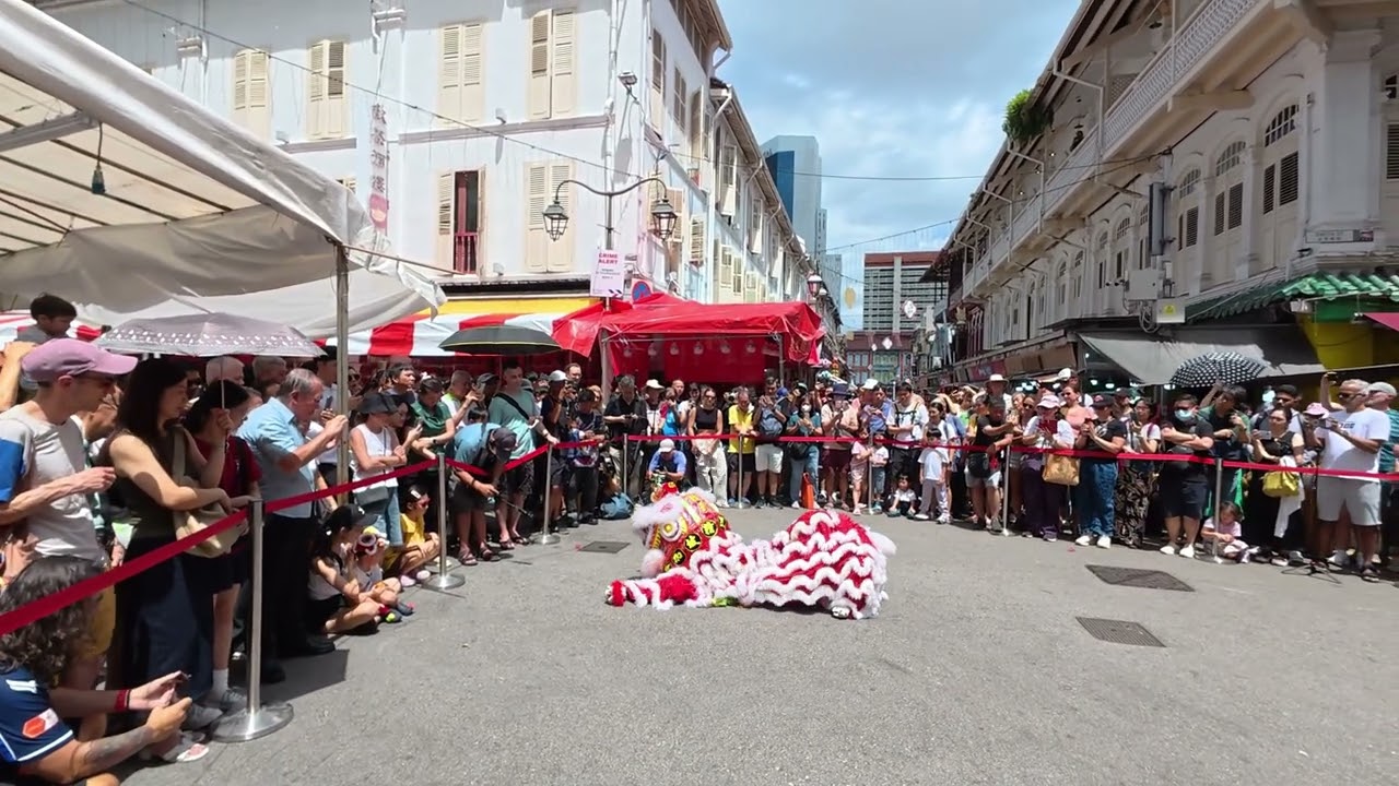 Singapore Chinatown Twin Lions Dance by Chin Woo (精武) - Part 2