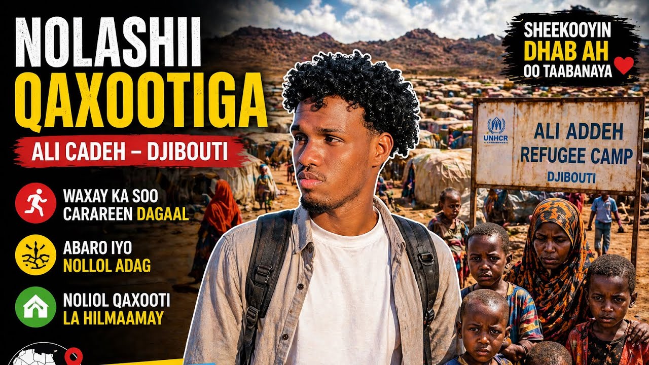 Ali cadedeh wax kuu Nool Qaxotika ugu badan Djibouti 🇩🇯!