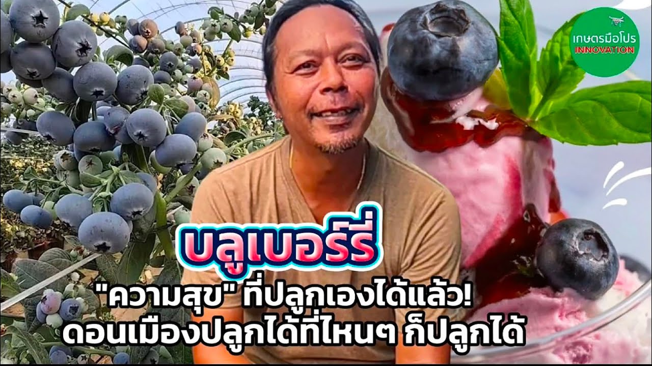 จากท้อปปิ้งราคาแรง! สู่แปลงปลูกได้จริง 