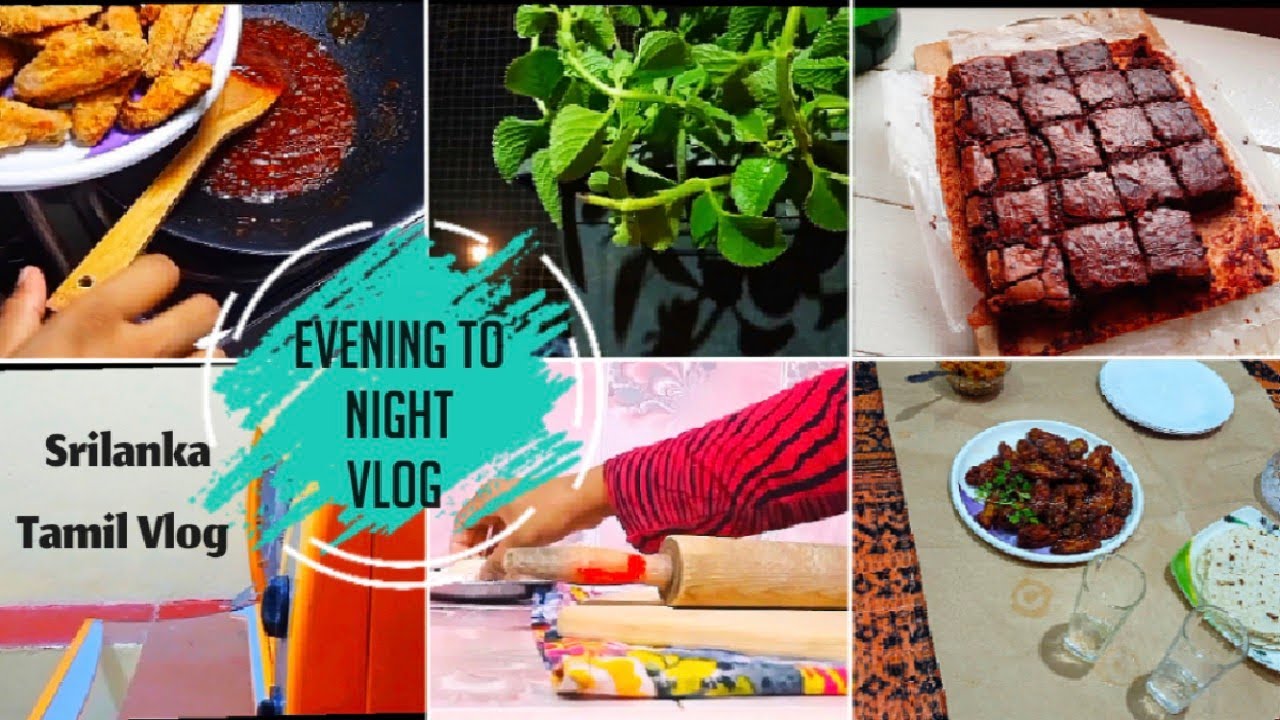 evening to night vlog |  chocolate lava brownie | buffalo chicken recipe|  SriLanka vlog |diml