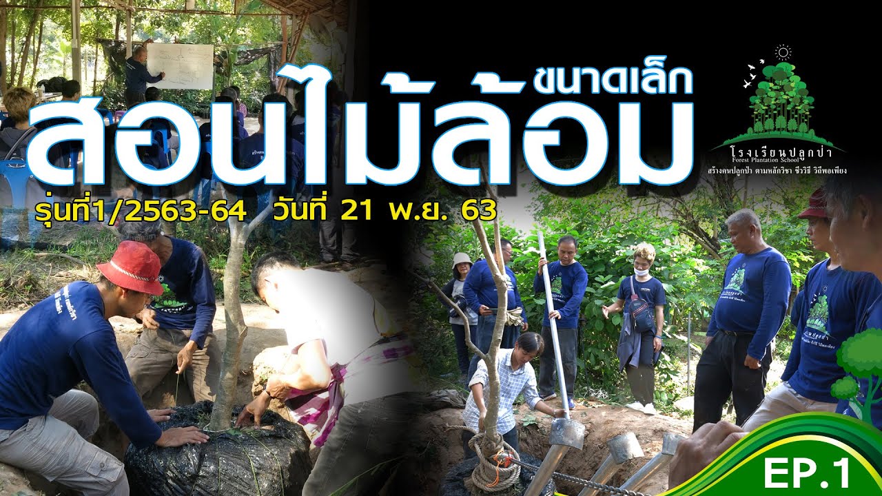 สอนวิธีการทำไม้ล้อมขนาดเล็ก รุ่นที่ 1/2563-64 EP.1 โรงเรียนปลูกป่าขอนแก่น