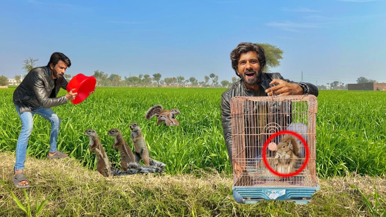 Squirrel Trap Laga Diya 😱