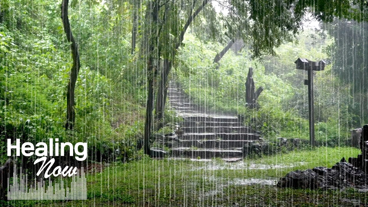 Успокаивающие звуки дождя, которые вам сейчас так необходимы - ASMR-эффект дождя для снятия стресса