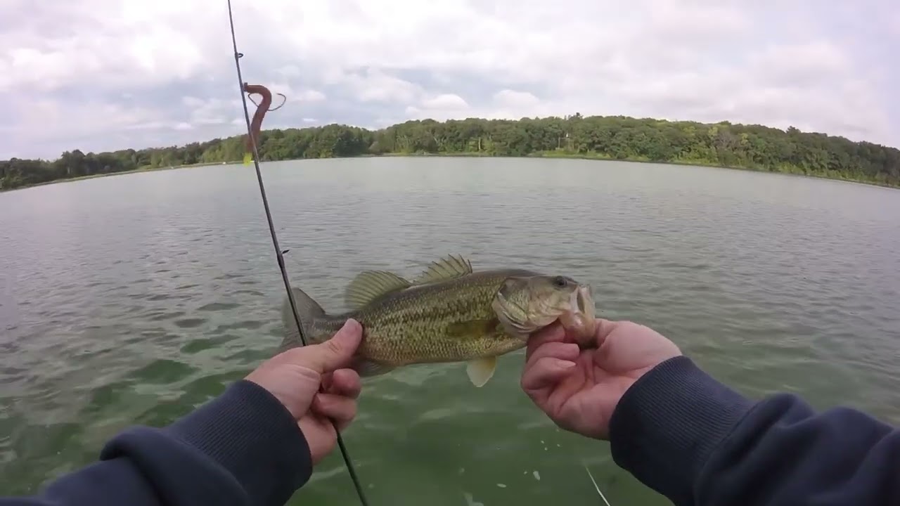 Fishing Shallow for Largemouth Bass (Fall Transition is Starting)