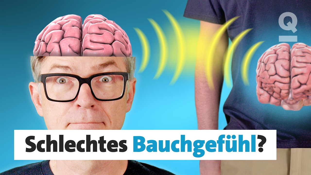 Kann ich meiner Intuition vertrauen? I Quarks Dimension Ralph