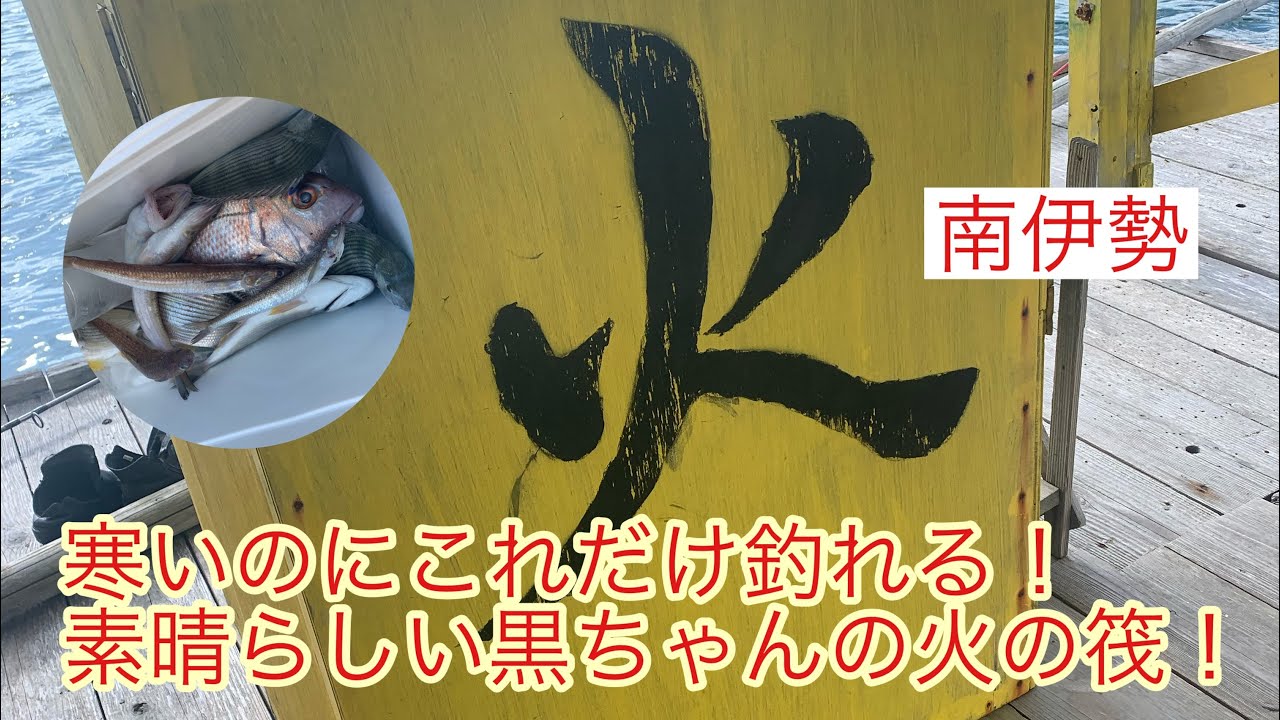 【黒ちゃん】寒いのにこれだけ釣れる！素晴らしい黒ちゃんの火の筏！