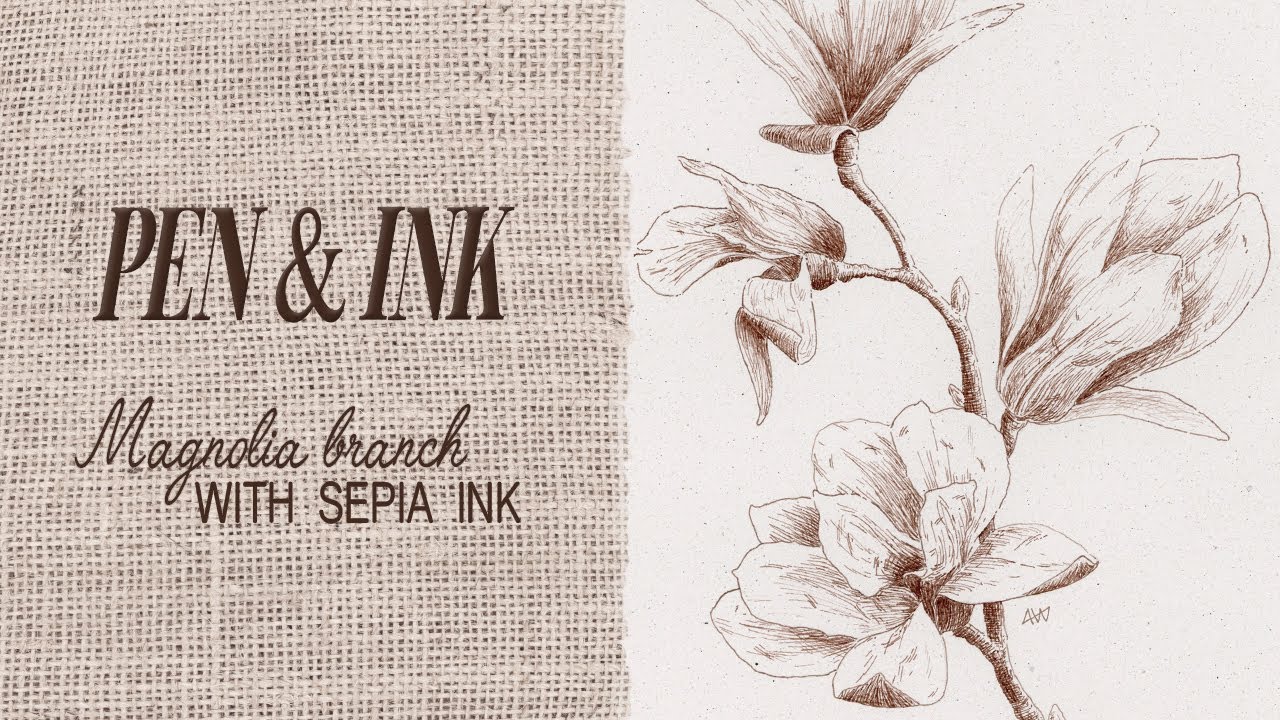 How to draw a magnolia branch with pen and ink