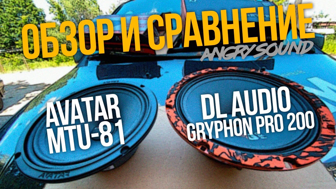 Тест эстрадной акустики 8''/DL Audio Gryphon Pro 200 VS Avatar MTU-81
