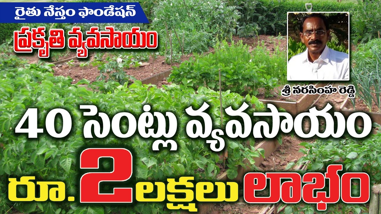 40 CENTS = 2 LAKHS (Narasimha Reddy 9440286399)