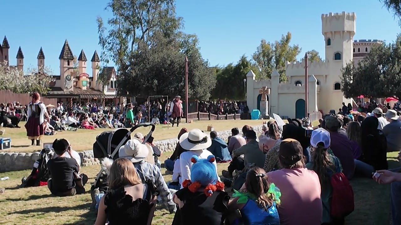 The Ancient Art of Falconry :  Arizona Renaissance Festival : Igor-Black Vulture