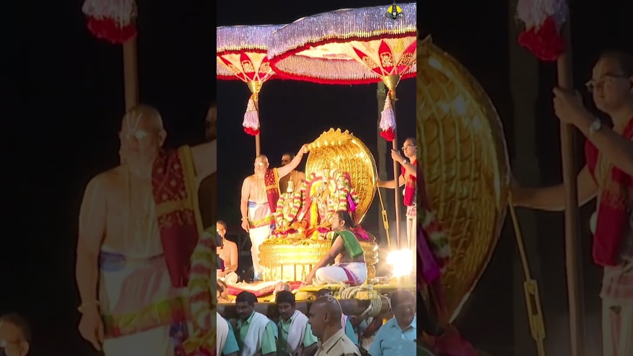 పెద్ద శేష వాహనంపై మలయప్పస్వామి Nagula Chaviti -Sri Venkateswara Peddasesha Vahanam. #tirumalahills