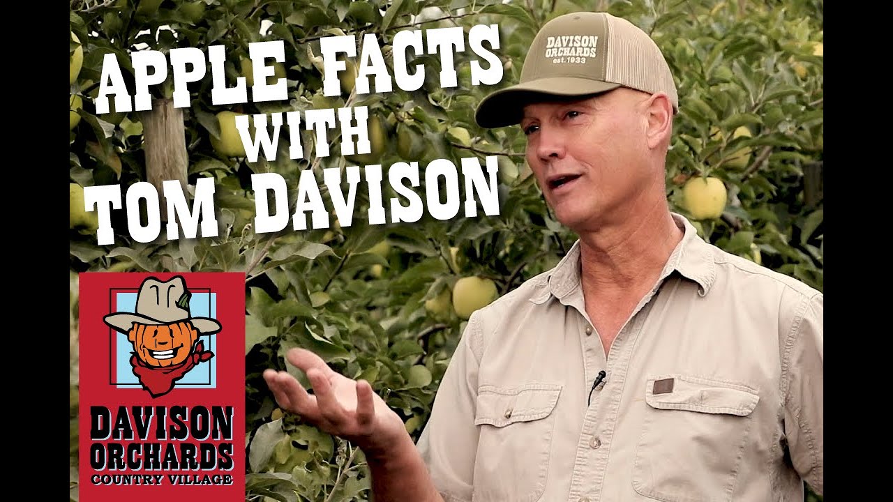 Apple Facts with Tom Davison