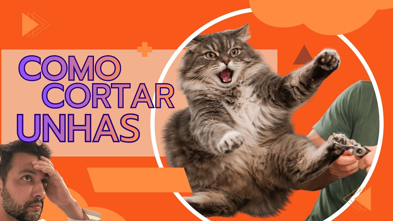 Cortar a unha do pet sem machucar! Remédio caseiro para sangramento da unha do cão e gato!