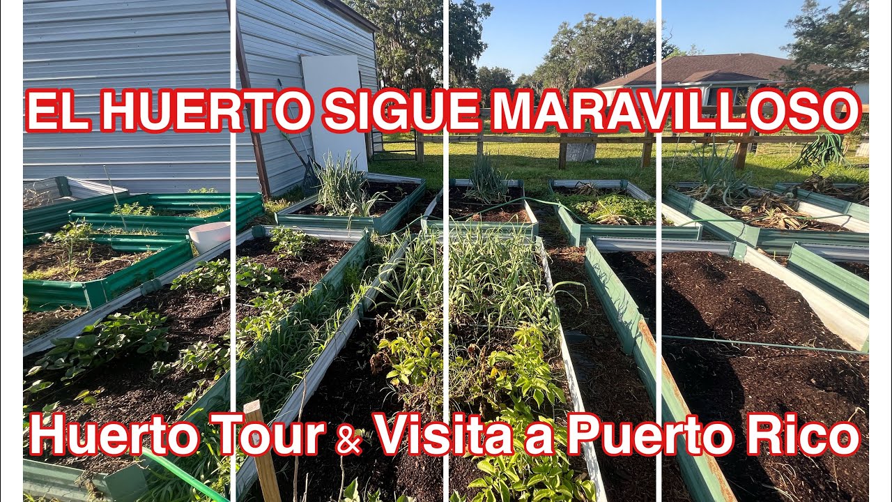 El Huerto en Ocala y La Finca en Puerto Rico 2025