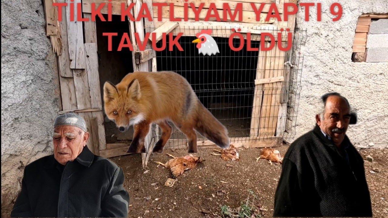KÖYDE YAŞAMAK YAĞMUR CUMA GÜNÜ NAMAZ SOHPETLER