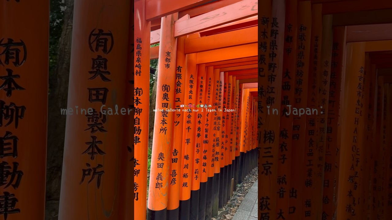 Japan Travel 🇯🇵🌺🧳 #vlog #reisen #travel #japan #kyoto