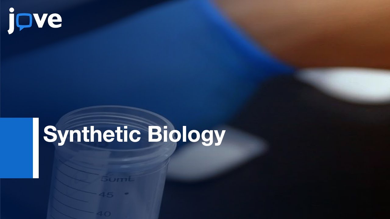 Implementing E.coli Based TX-TL Cell-Free Expression System For Synthetic Biology l Protocol Preview