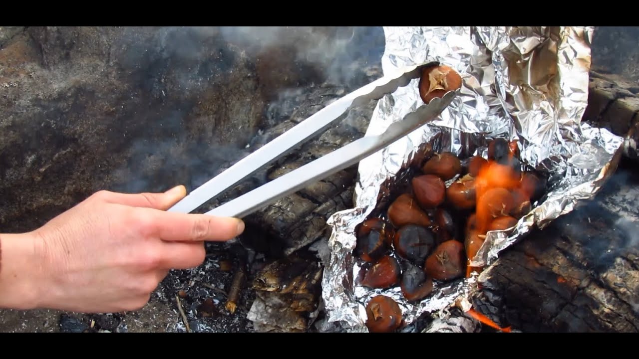 Camp Cookout: Roasting Chestnuts on an Open Fire