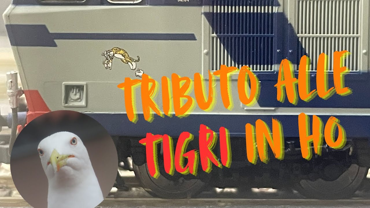 Speciale - Tributo alle Tigri in H0
