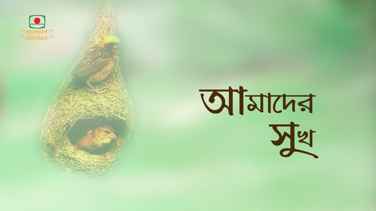 আমাদের সুখ - এ সপ্তাহের নাটক | শহীদুজ্জামান সেলিম | Our Happiness - This Week's Drama