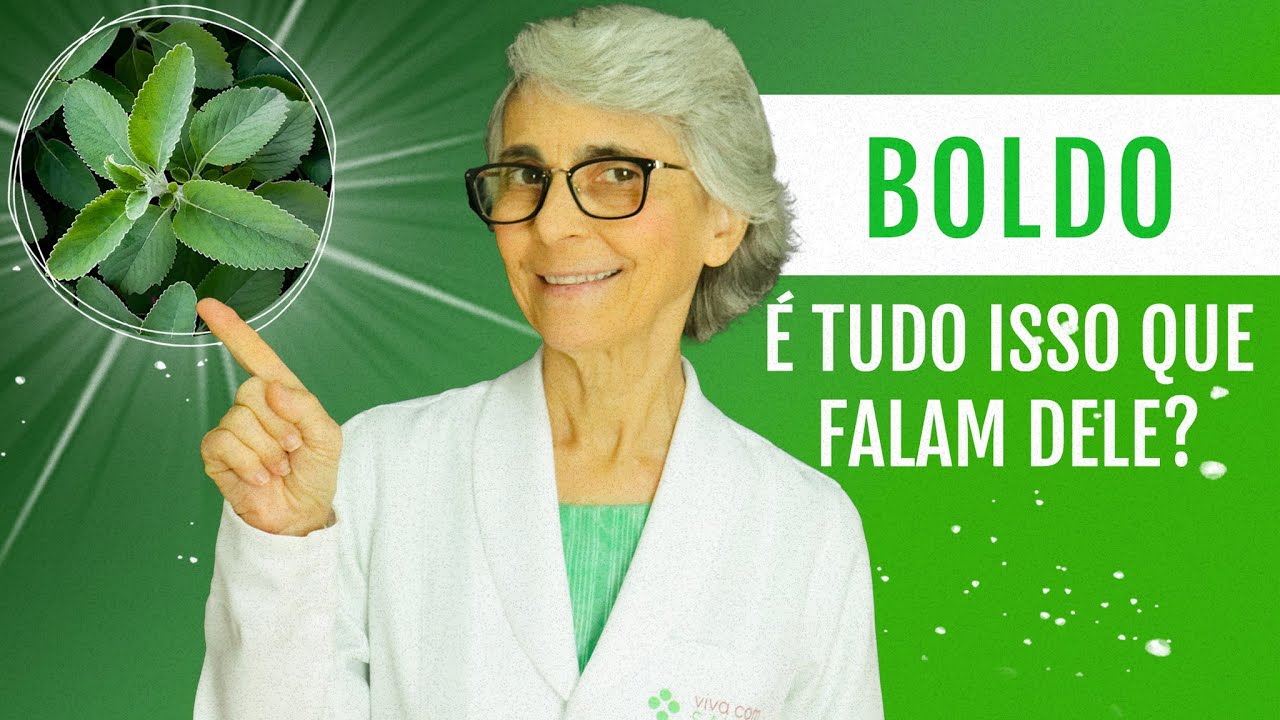 O Boldo ajuda no tratamento da esteatose hep&aacute;tica
